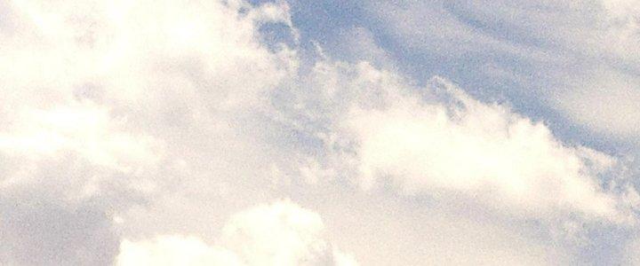 Thành Tựu Của Ta Rất Nhiều Chapter 171 - Trang 3