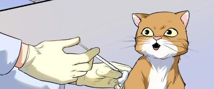 Thành Tựu Của Ta Rất Nhiều Chapter 171 - Trang 3