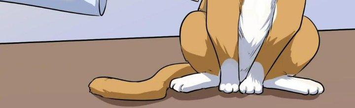 Thành Tựu Của Ta Rất Nhiều Chapter 171 - Trang 3