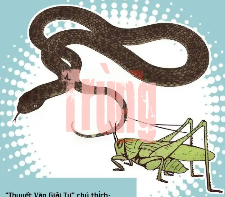 Kẻ Thách Thức Hay Nhà Không Tưởng Chapter 25 - Trang 2