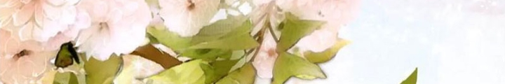 Phụng Chỉ Xuất Chinh Chapter 25 - Trang 2