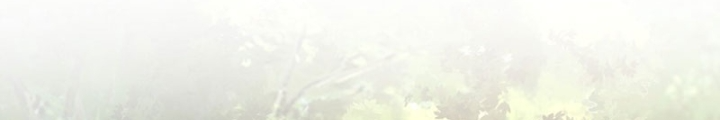 Tôi Thăng Cấp Bằng Cách Thưởng Cho Những Đệ Tử Chapter 84 - Trang 2