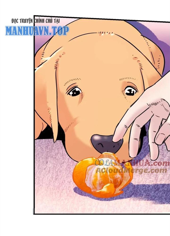 Đấu Trường Bóng Rổ Đường Phố Chapter 44 - Trang 2