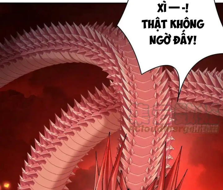 Ta Nhặt Được Thuộc Tính Tại Tu Chân Giới Chapter 274 - Trang 2