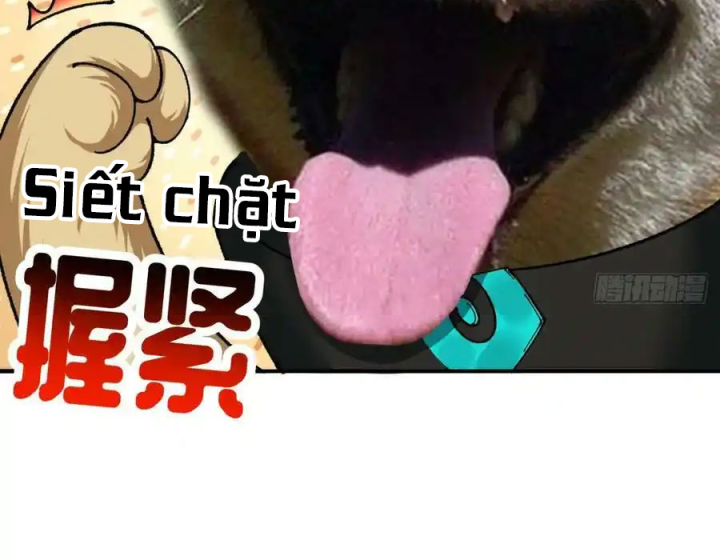 Ta Nhặt Được Thuộc Tính Tại Tu Chân Giới Chapter 280 - Trang 2