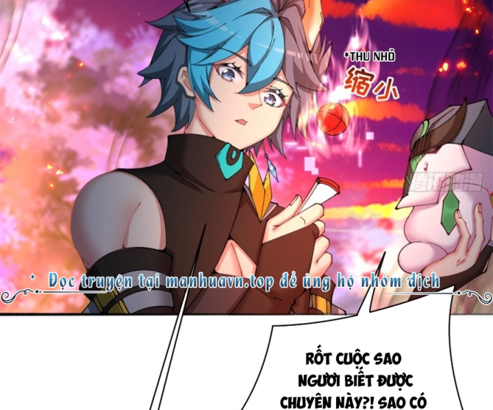 Ta Nhặt Được Thuộc Tính Tại Tu Chân Giới Chapter 283 - Trang 2