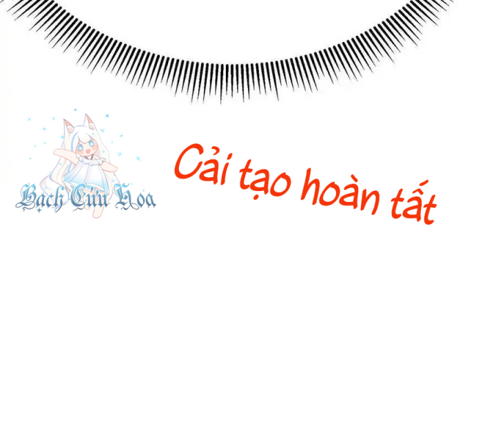 Ta Nhặt Được Thuộc Tính Tại Tu Chân Giới Chapter 285 - Trang 2