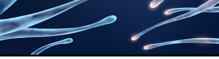 Linh Lung • Nguyệt Khôi Truyện Chapter 13 - Trang 2