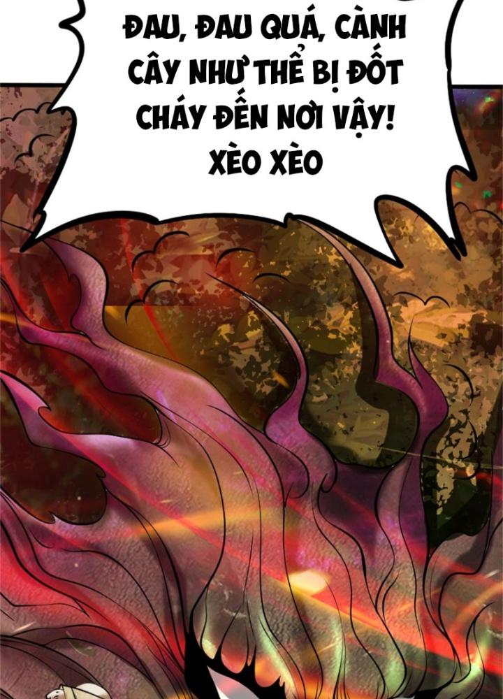 Nguyên Lai Ta Là Chí Tôn Tiên Giới Chapter 14 - Trang 3