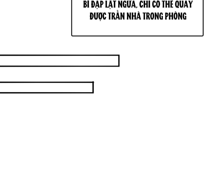 Ta Nhặt Được Thuộc Tính Tại Tu Chân Giới Chapter 295 - Trang 4