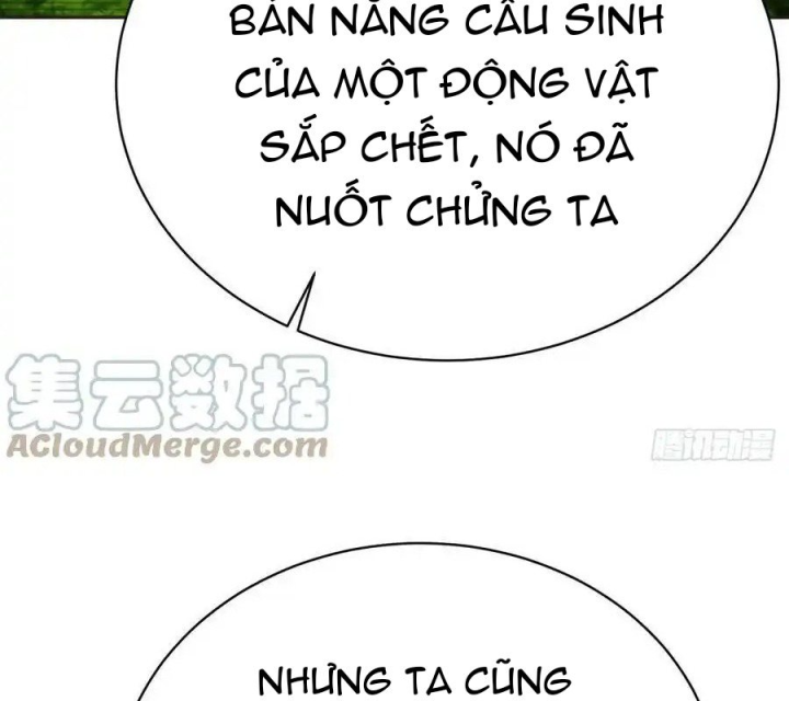 Ta Nhặt Được Thuộc Tính Tại Tu Chân Giới Chapter 301 - Trang 4
