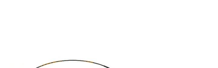 Chí Tôn Hoàn Mỹ Chapter 62 - Trang 2