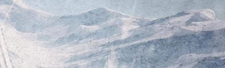 Đại Vương Tha Mạng Chapter 920.8 - Trang 2