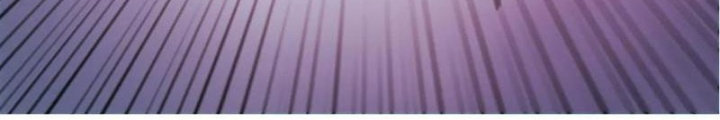 Đệ Nhất Chiến Thần Chapter 21 - Trang 2
