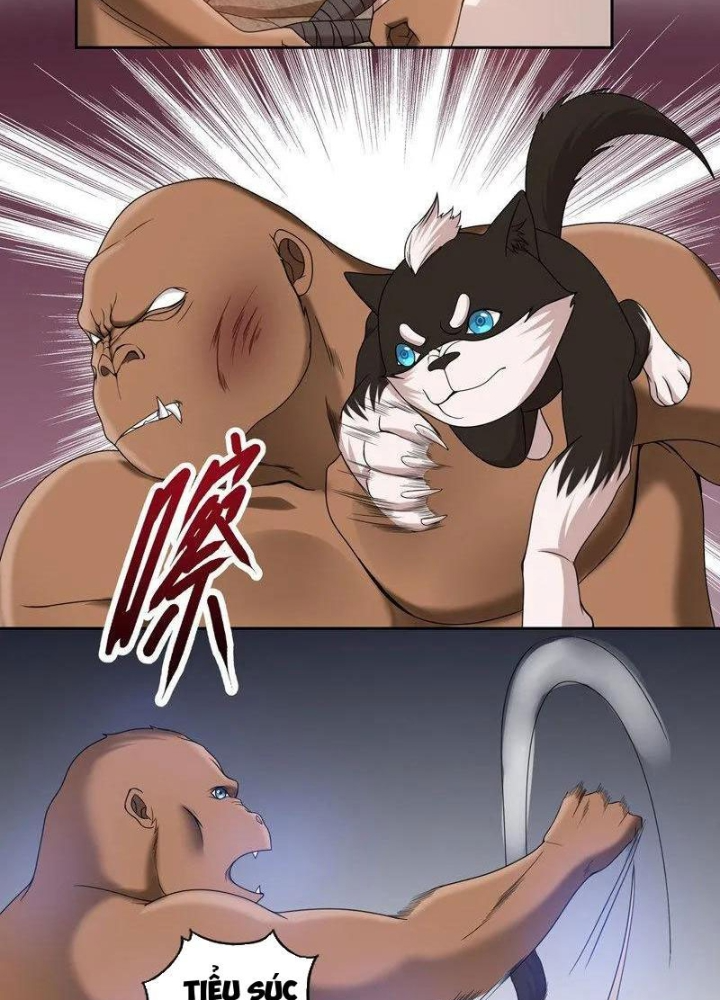 Đệ Nhất Chiến Thần Chapter 31 - Trang 2