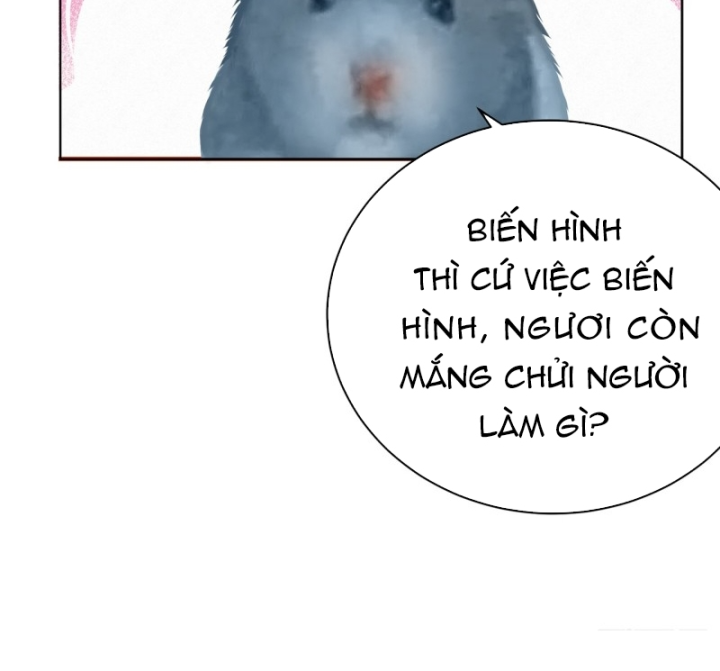 Ta Nhặt Được Thuộc Tính Tại Tu Chân Giới Chapter 307 - Trang 4
