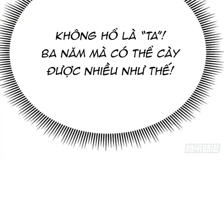 Ta Nhặt Được Thuộc Tính Tại Tu Chân Giới Chapter 311 - Trang 4