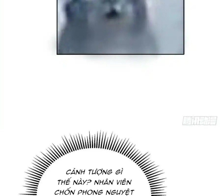 Ta Nhặt Được Thuộc Tính Tại Tu Chân Giới Chapter 312 - Trang 4