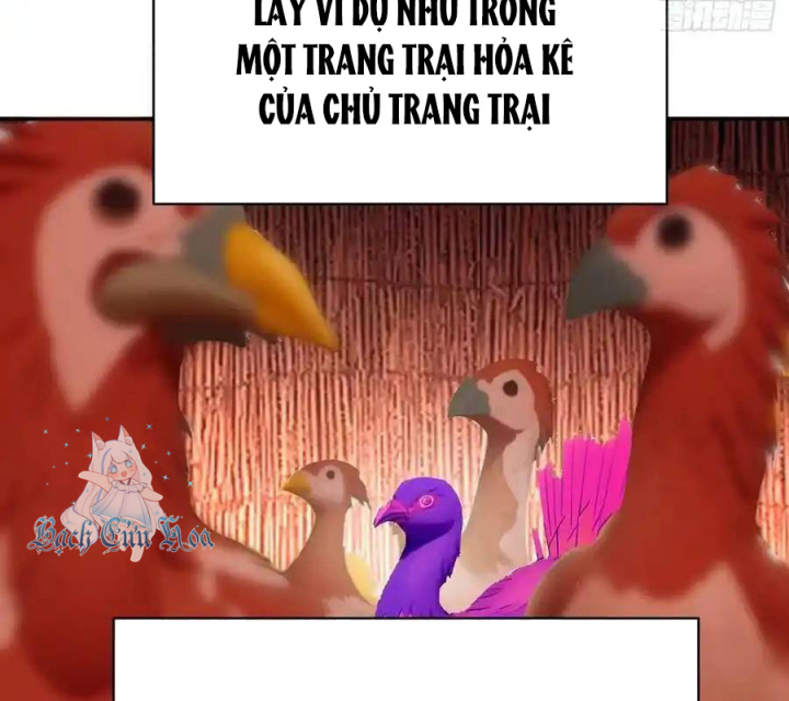 Ta Nhặt Được Thuộc Tính Tại Tu Chân Giới Chapter 315 - Trang 4