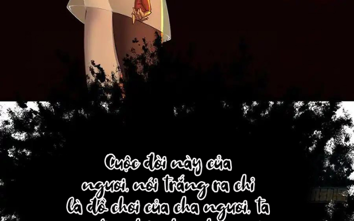 Ta Nhặt Được Thuộc Tính Tại Tu Chân Giới Chapter 317 - Trang 4