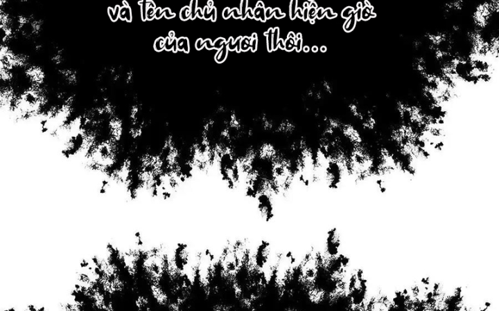 Ta Nhặt Được Thuộc Tính Tại Tu Chân Giới Chapter 317 - Trang 4