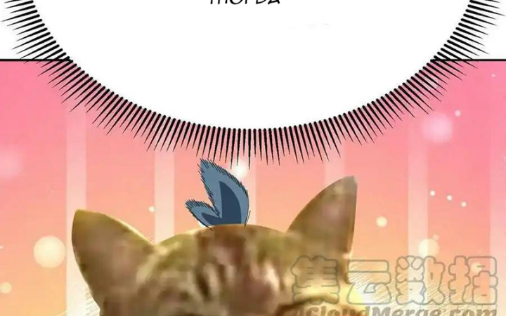 Ta Nhặt Được Thuộc Tính Tại Tu Chân Giới Chapter 317 - Trang 4