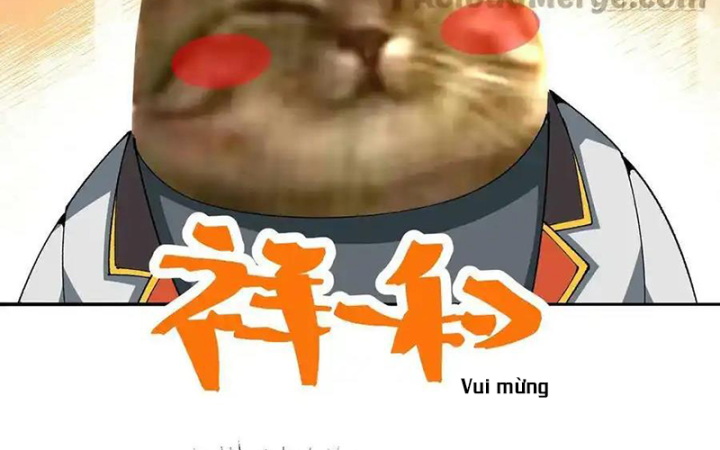 Ta Nhặt Được Thuộc Tính Tại Tu Chân Giới Chapter 317 - Trang 4