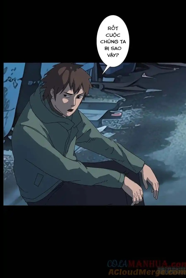 Quay Đầu Là Bờ Chapter 218 - Next Chapter 219