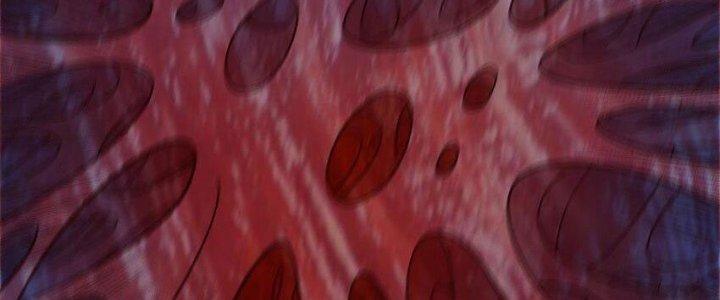 Lê Minh Chi Kiếm Chapter 94 - Next Chapter 95