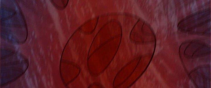 Lê Minh Chi Kiếm Chapter 94 - Next Chapter 95