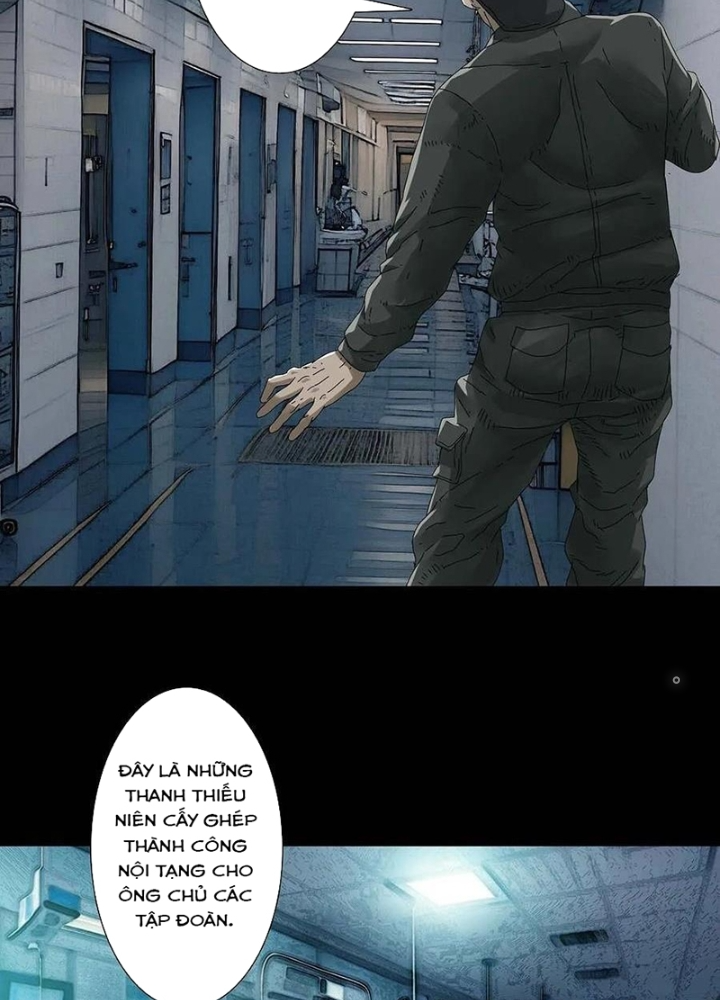 Quay Đầu Là Bờ Chapter 228 - Trang 2