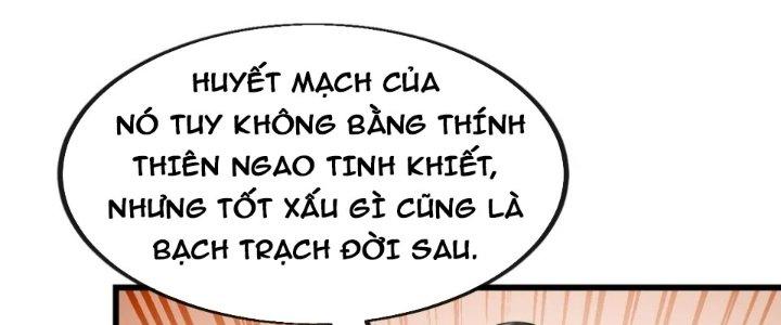 Yêu Nữ Trốn Chỗ Nào Chapter 9 - Trang 2