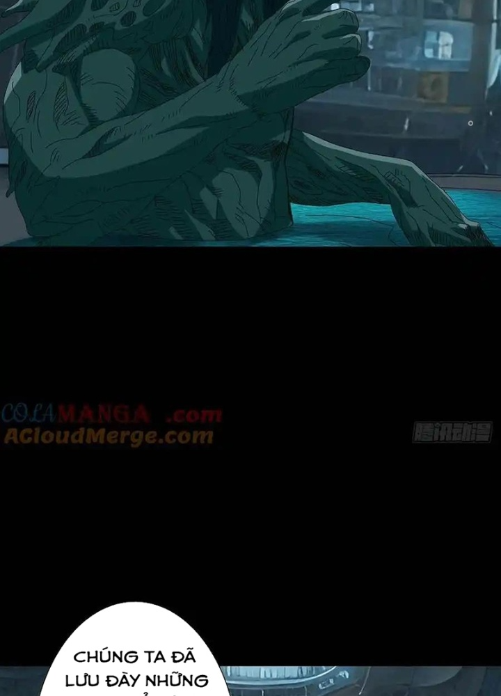 Quay Đầu Là Bờ Chapter 232 - Next Chapter 233