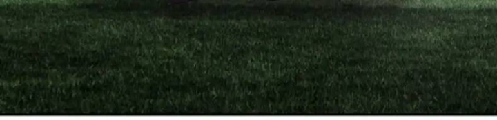 Thích Đuôi Lớn Thì Sao? Chapter 45 - Trang 2