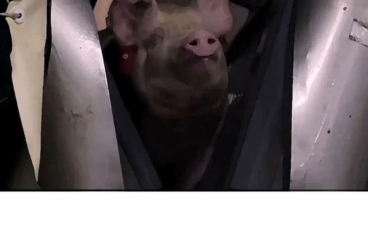 Ta Nhặt Được Thuộc Tính Tại Tu Chân Giới Chapter 331 - Trang 4