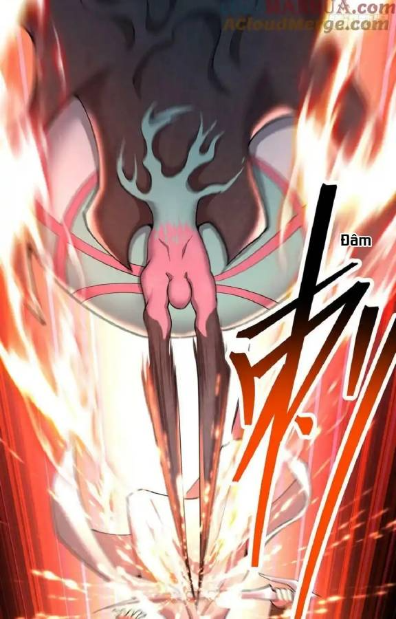 Ta Nhặt Được Thuộc Tính Tại Tu Chân Giới Chapter 338 - Trang 4