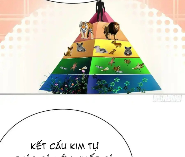 Ta Nhặt Được Thuộc Tính Tại Tu Chân Giới Chapter 339 - Trang 4