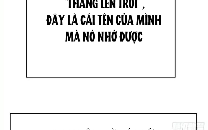 Ta Nhặt Được Thuộc Tính Tại Tu Chân Giới Chapter 367 - Trang 4