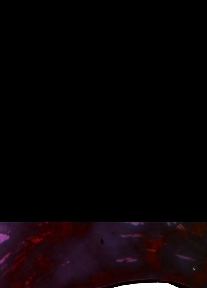 Thiếu Niên Bất Lương Vô Địch Solo Lại Muốn Làm Vú Em Trong Game Chapter 56 - Trang 2