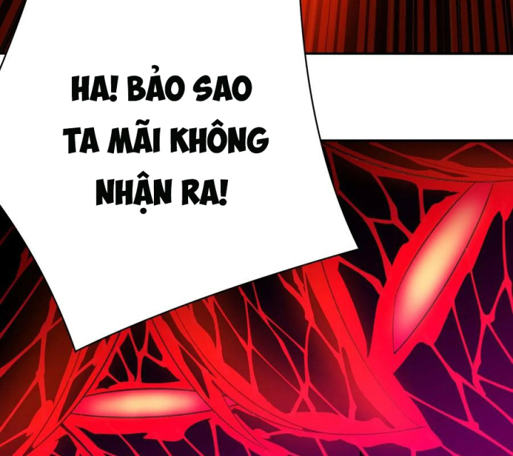 Ta Nhặt Được Thuộc Tính Tại Tu Chân Giới Chapter 372 - Trang 4
