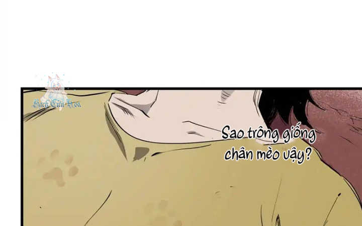 Tiêng Gọi Từ Muôn Loài Chapter 30 - Trang 2