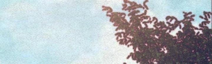 Trường Sinh Đạo Chapter 66 - Trang 2