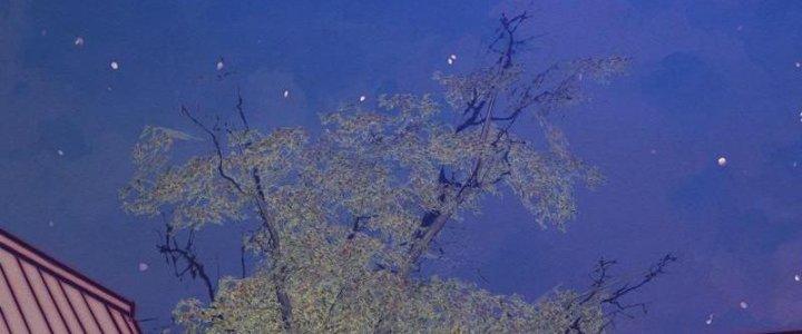 Trường Sinh Đạo Chapter 73 - Next Chapter 74