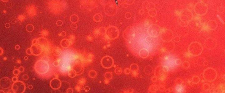 Trải Nghiệm Trở Thành Huyết Tộc Chapter 36 - Trang 3