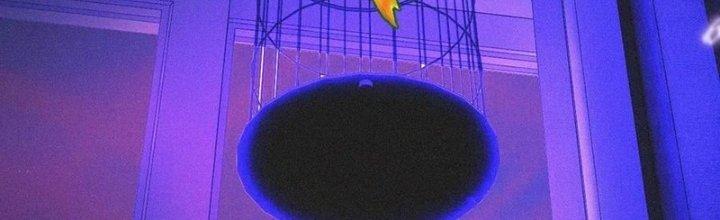 Trải Nghiệm Trở Thành Huyết Tộc Chapter 38 - Trang 2