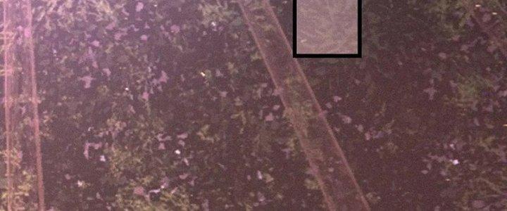 Trải Nghiệm Trở Thành Huyết Tộc Chapter 39 - Trang 3