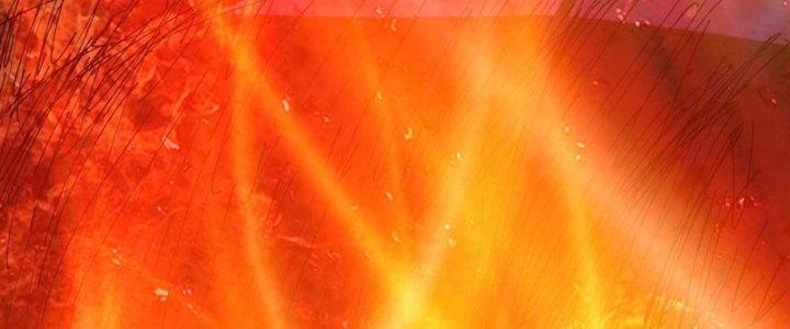 Ta Thật Sự Không Phải Là Cái Thế Cao Nhân Chapter 49 - Trang 4