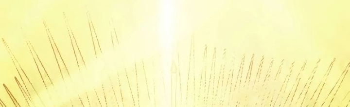 Ván Cược Của Chúa Chapter 43 - Next Chapter 44