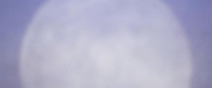 Trường Sinh Đạo Chapter 74 - Trang 2