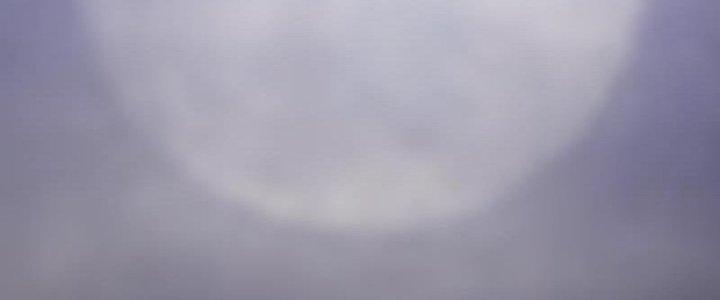 Trường Sinh Đạo Chapter 74 - Trang 2